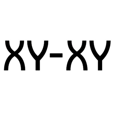 XY商標(biāo)代理 一站式企業(yè)商標(biāo)查詢與注冊(cè)服務(wù)指南