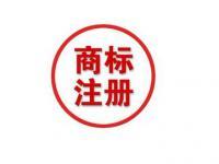專利申請(qǐng)與商標(biāo)代理 保護(hù)創(chuàng)新與品牌的關(guān)鍵步驟